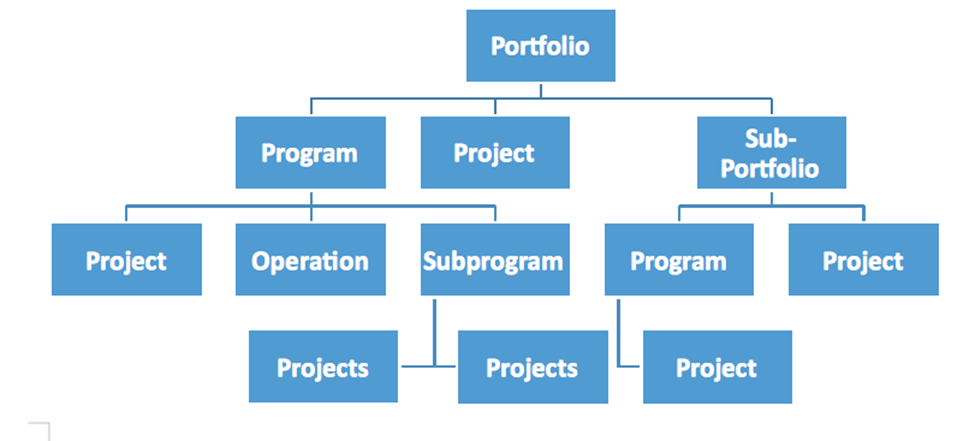 Project Management Portfolio Management and Program management