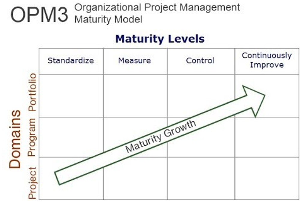 Organization Project Management